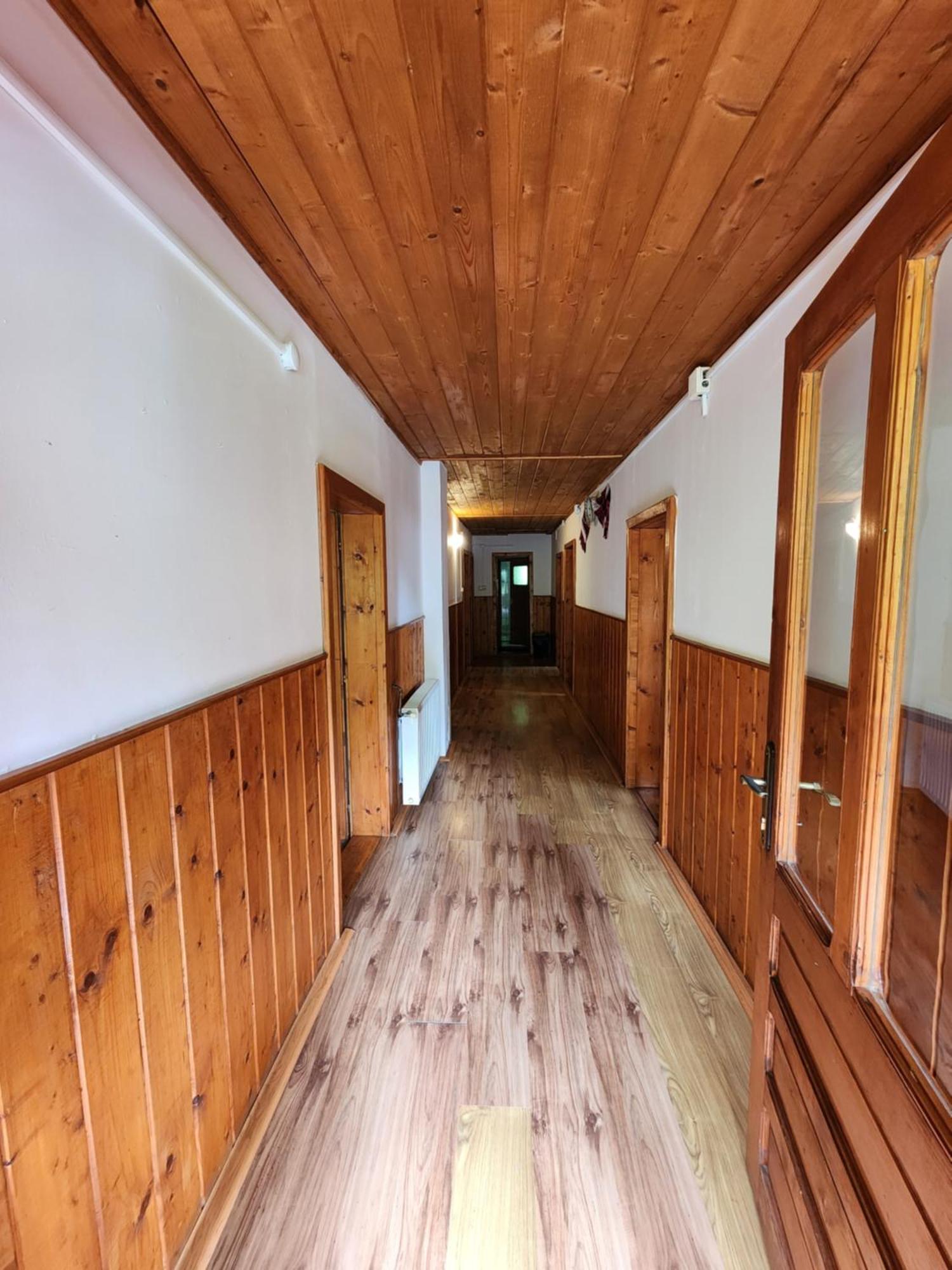 Pensiunea Susman Rachitele Exterior foto